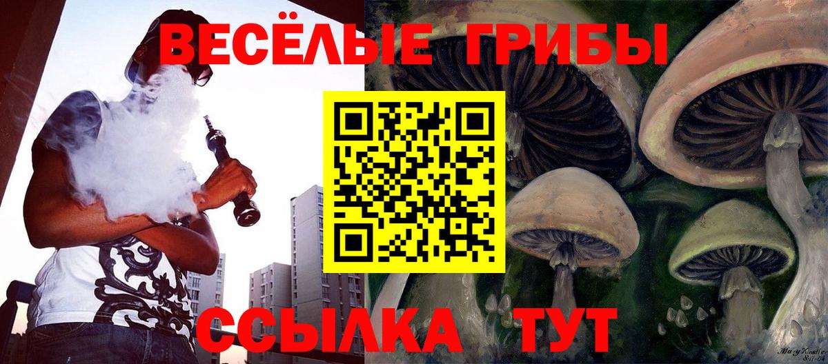 Псилоцибиновые грибы Psilocybe  Вход с VPN  Псилоцибиновые грибы мухоморы  где можно купить наркотик  Элиста 